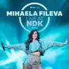 Mihaela Fileva - Live at NDK 2019 (Live at NDK 2019)