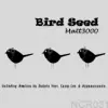 Matt3000 - Bird Seed - EP